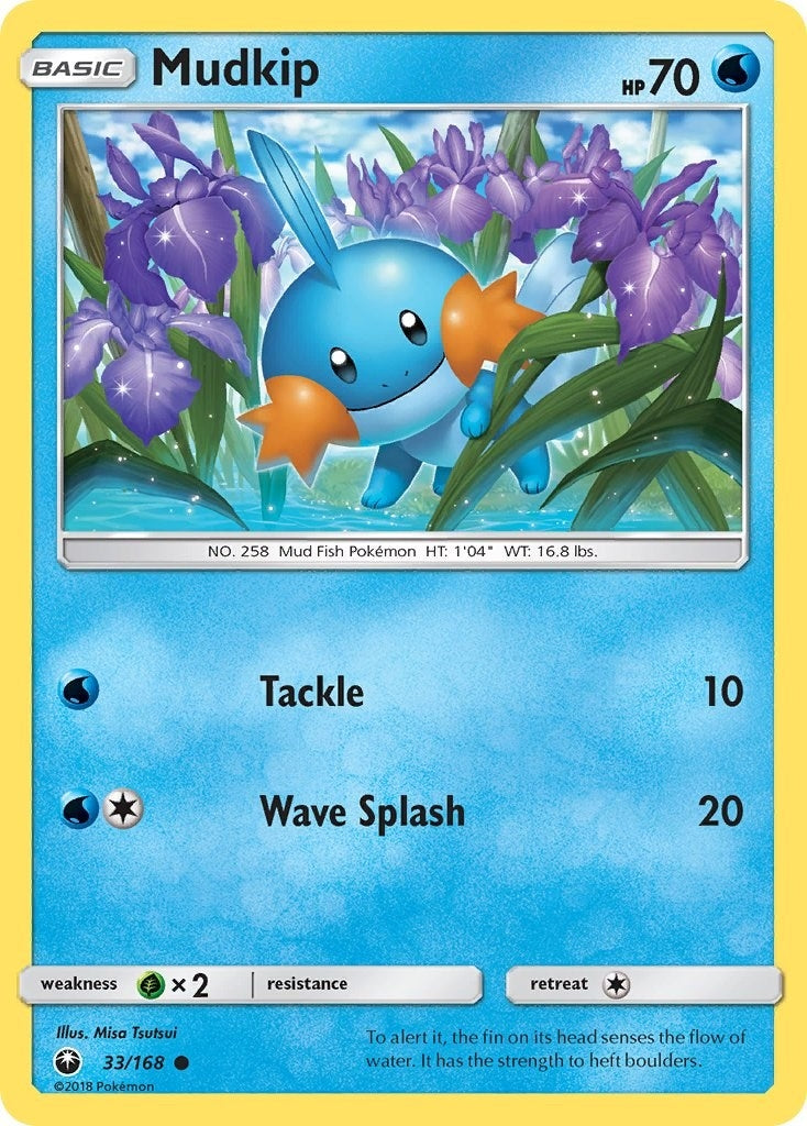 Mudkip 33 (33/168) [CES]
