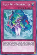 Ninjitsu Art of Transformation (SHVA-EN028) [SHVA]