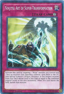 Ninjitsu Art of Super Transformation (SHVA-EN029) [SHVA]