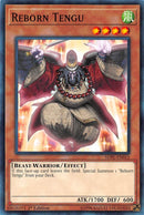 Reborn Tengu (SDPL-EN012) [SDPL]