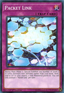 Packet Link (SDPL-EN031) [SDPL]
