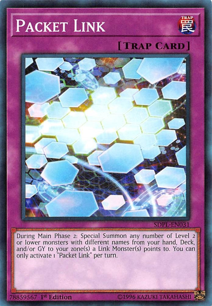 Packet Link (SDPL-EN031) [SDPL]