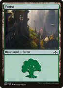 Forest (264) [GRN]