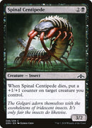 Spinal Centipede (86) [GRN]
