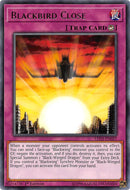 Blackbird Close (LED3-EN027) [LED3]