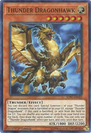 Thunder Dragonhawk (SOFU-EN020) [SOFU]