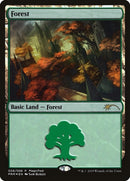 Forest 2019 (6) [MFP]