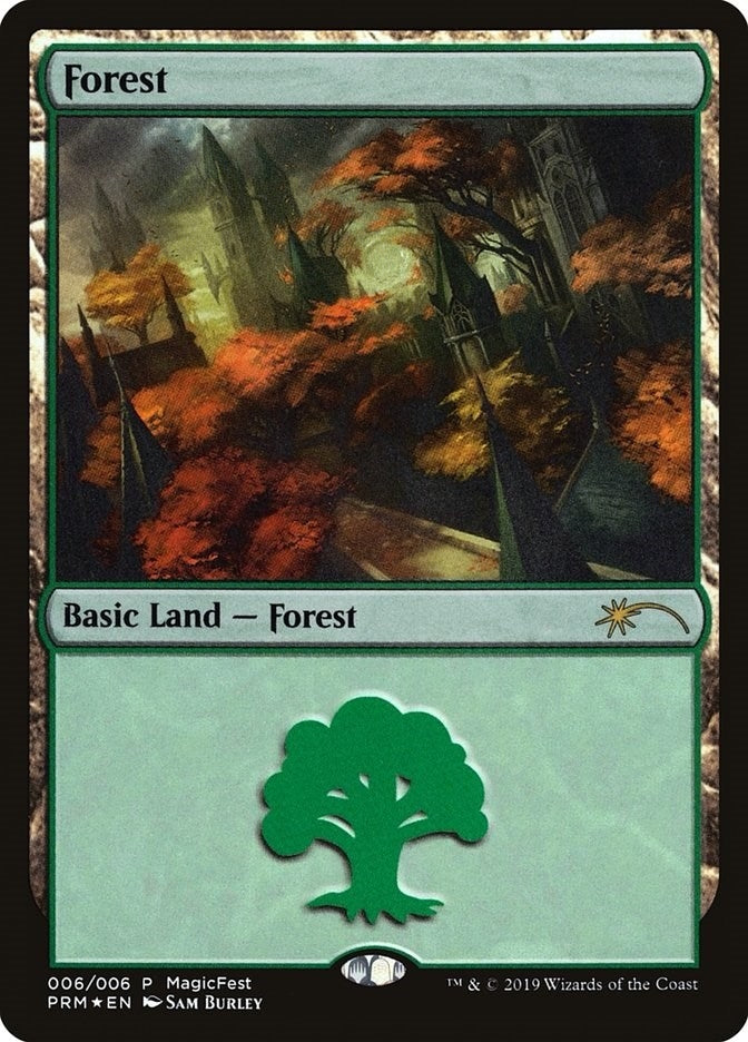 Forest 2019 (6) [MFP]