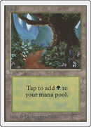 Forest B [2ED]