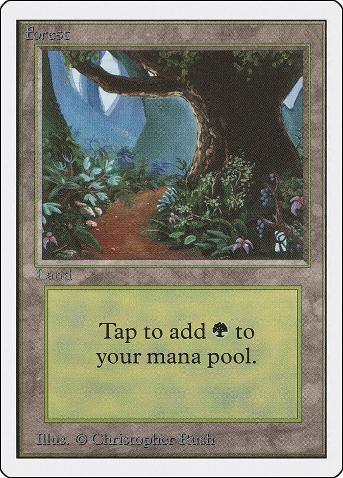 Forest B [2ED]