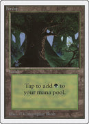 Forest C [2ED]