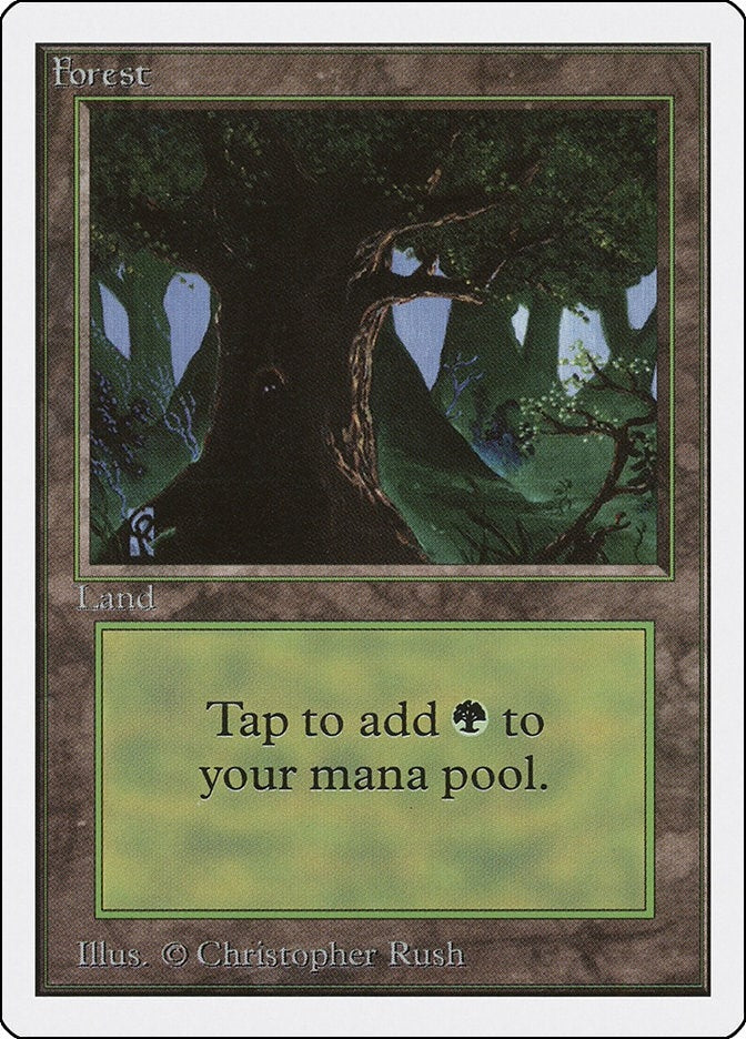 Forest C [2ED]