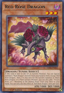 Red Rose Dragon (LED4-EN025) [LED4]