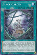 Black Garden (LED4-EN032) [LED4]