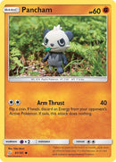 Pancham (81/181) [SM9]