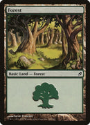 Forest 300 (300) [LRW]