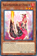 Salamangreat Foxer (SDSB-EN013) [SDSB]