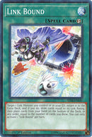 Link Bound (SDSB-EN030) [SDSB]