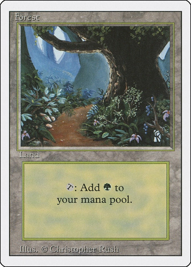 Forest B (286) [3ED]