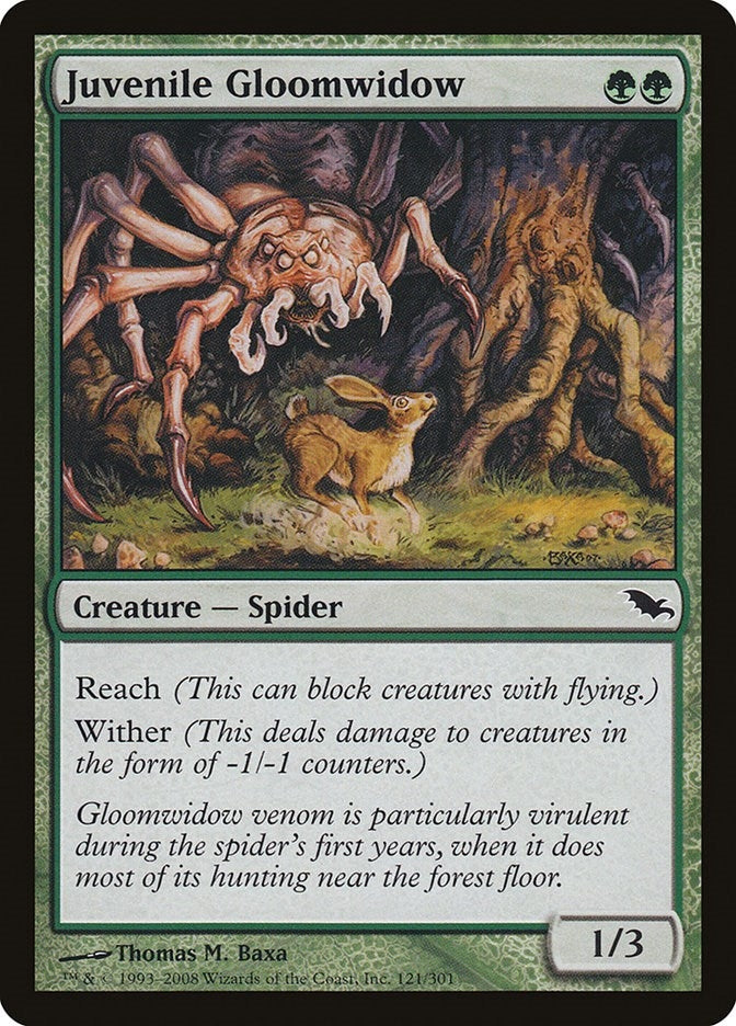 Juvenile Gloomwidow (121) [SHM]
