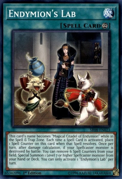 Endymions Lab (SR08-EN023) [SR08]