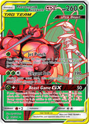 Pheromosa and Buzzwole GX 191 Full Art (191/214) [SM10]