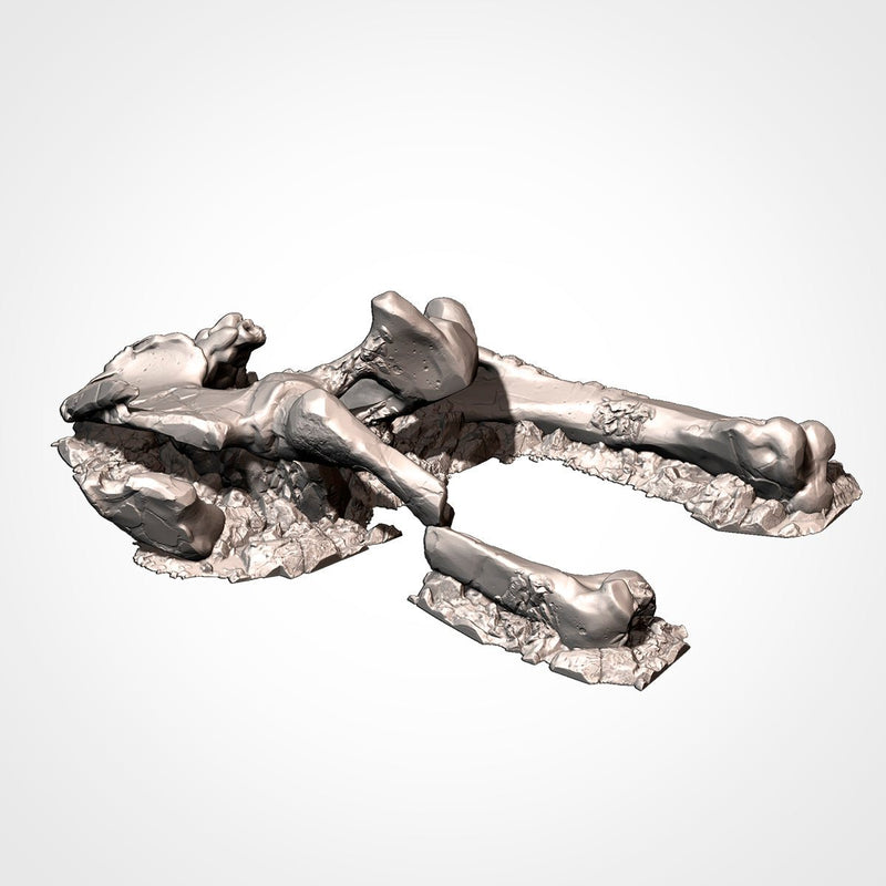 Dead Giant Mammoths 3D printed terrain view 18