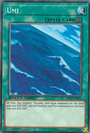Umi (SBAD-EN031) [SBAD]