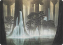 Waterlogged Grove Art Series (52) [ASMH1]