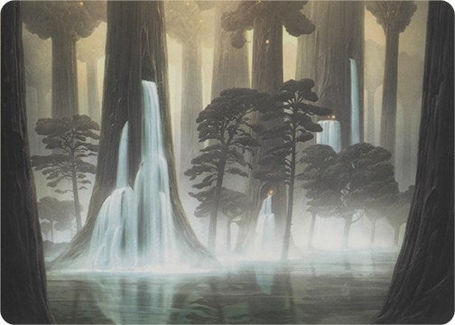 Waterlogged Grove Art Series (52) [ASMH1]