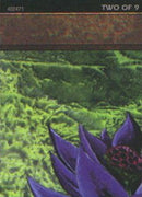 Black Lotus 2 of 9 Ultra Pro Puzzle Quest (1) [MEDIA]