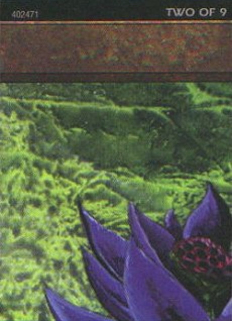 Black Lotus 2 of 9 Ultra Pro Puzzle Quest (1) [MEDIA]