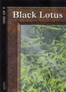 Black Lotus 1 of 9 Ultra Pro Puzzle Quest (1) [MEDIA]