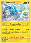 Thundurus (68/236) [SM11]