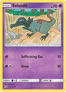Salandit 98 (98/236) [SM11]