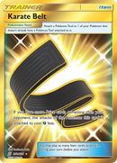 Karate Belt Secret (252/236) [SM11]