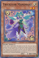 Trickstar Mandrake (MP19-EN005) [MP19]