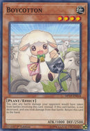 Boycotton (MP19-EN018) [MP19]