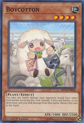 Boycotton (MP19-EN018) [MP19]