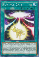 Contact Gate (MP19-EN071) [MP19]