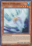 White Stingray (MP19-EN148) [MP19]