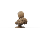 Emma Frost Resin Bust - Design 3 - view 3