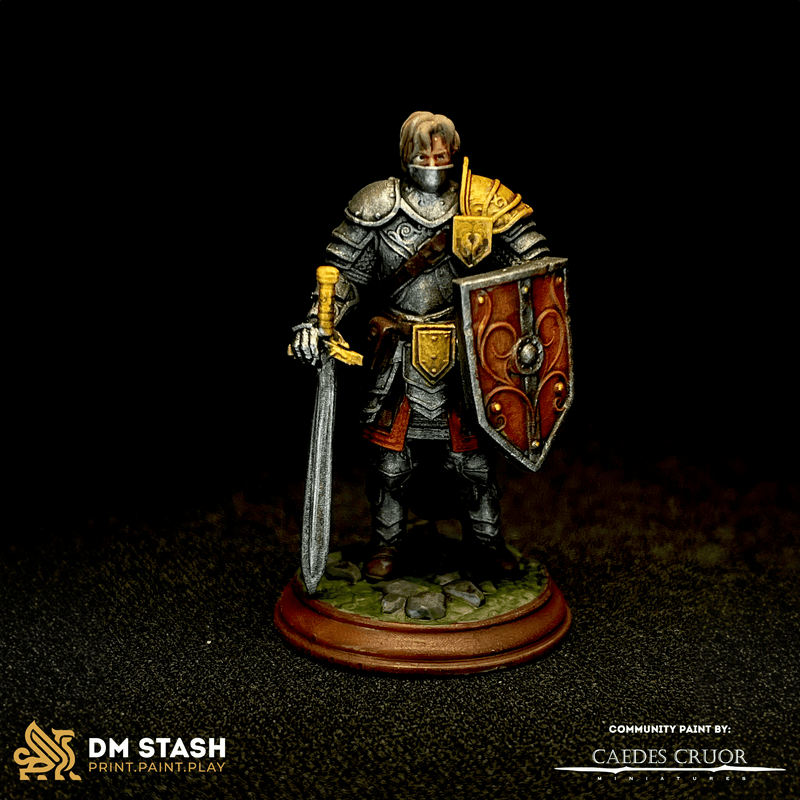 Arion Midrun – Human Battle Master Fighter by DM Stash - image 3