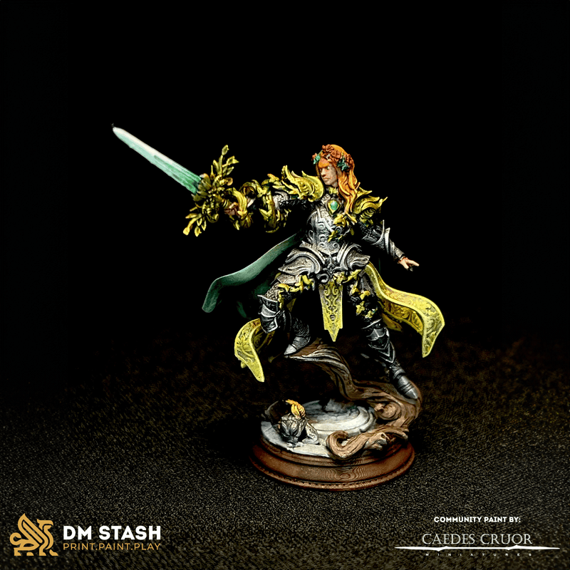 Celathyn – Heir of Elven Hope by DM Stash - image 3