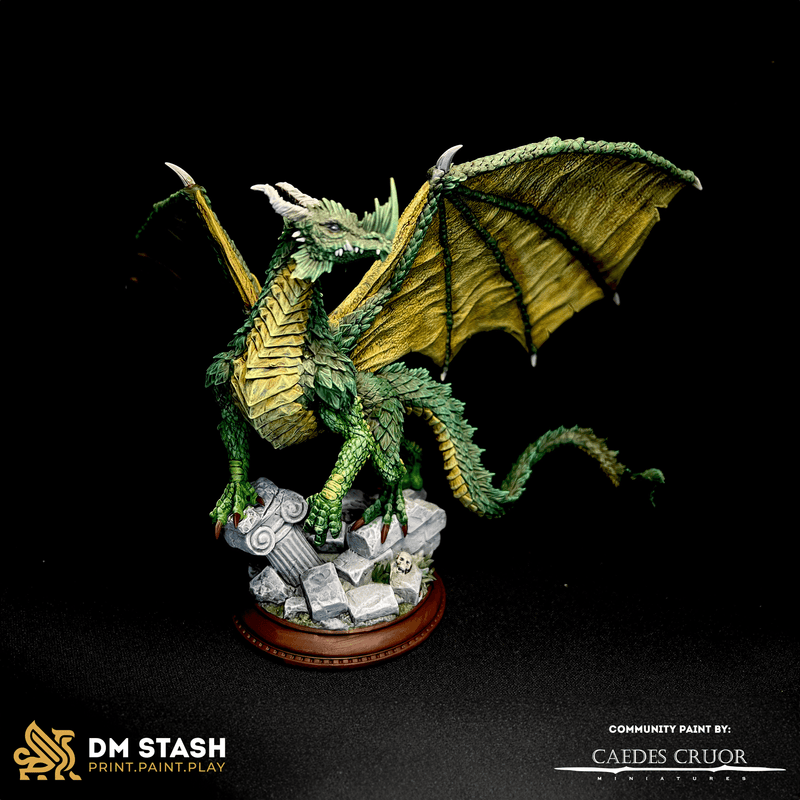 Midorius the Broken – Juvenile Green Dragon by DM Stash - image 3