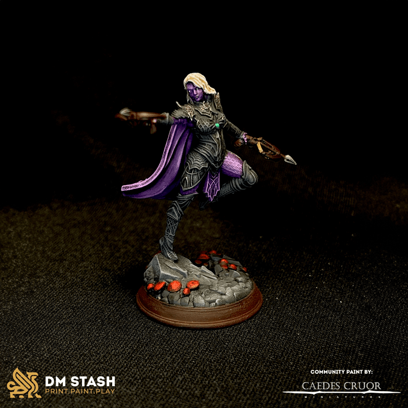 Vakara N’thara – Drow Assassin by DM Stash - image 3