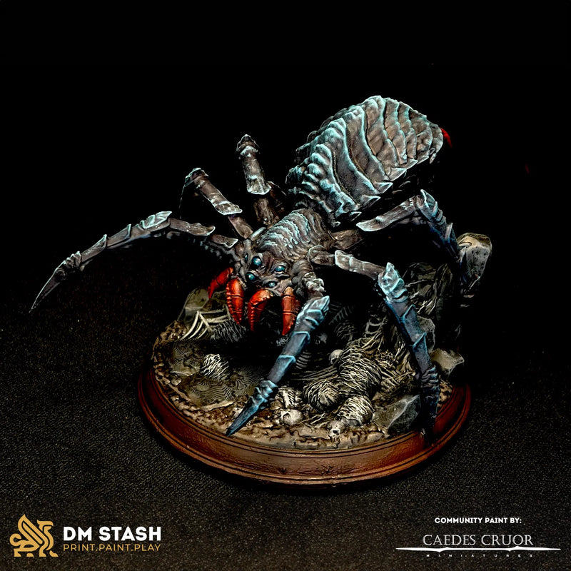 Xylanth – Phase Spider Broodmother by DM Stash - image 3