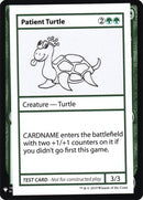 Patient Turtle [CMB1]