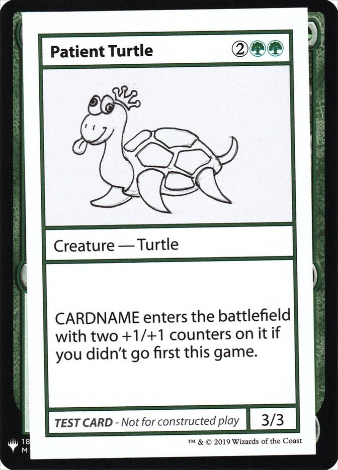 Patient Turtle [CMB1]