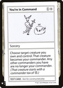 Youre In Command [CMB1]